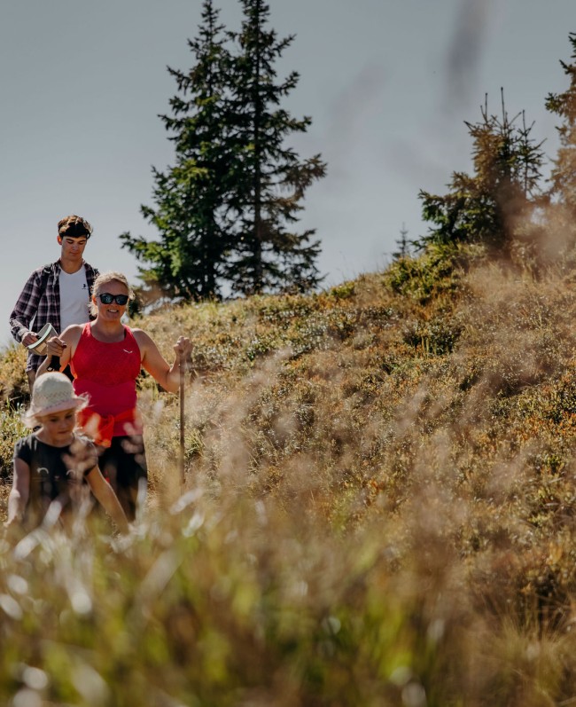Hiking with children