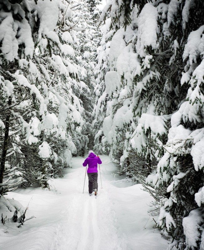 Langlaufen © Photo by Simon Berger on Unsplash