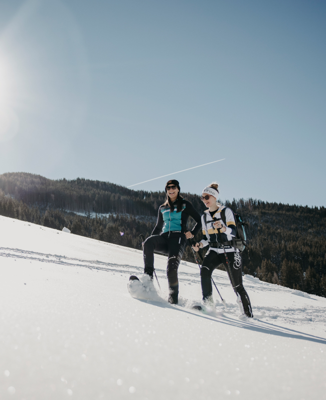 Wanderung durch das Winterwunderland 