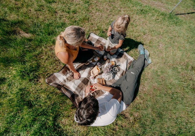Family picnic in summer
